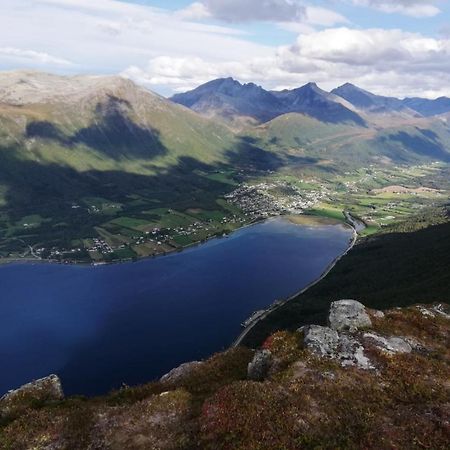 Вілла Mountain View House Isfjorden Екстер'єр фото